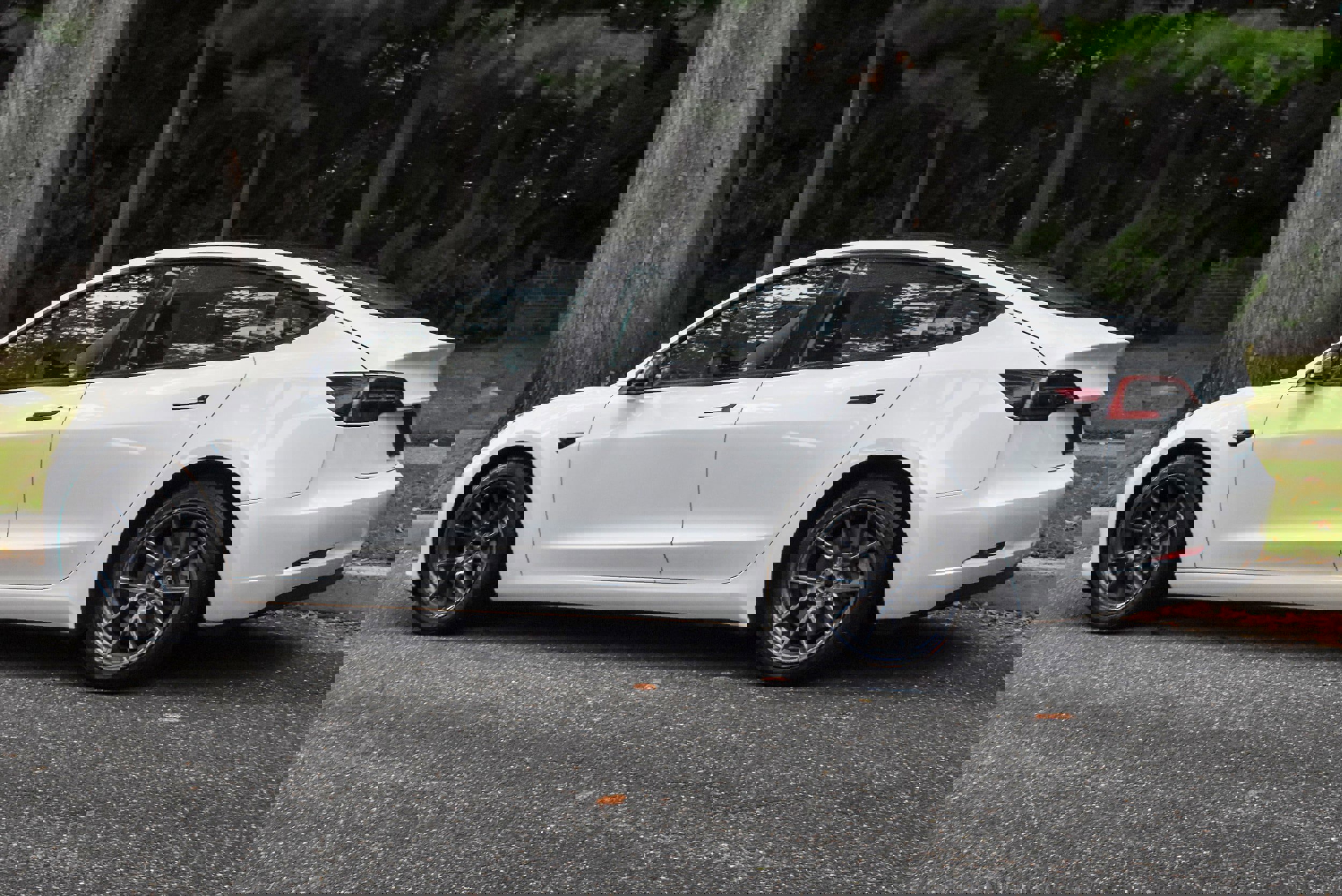 Used 2023 Tesla Model 3 Standard Range image 5