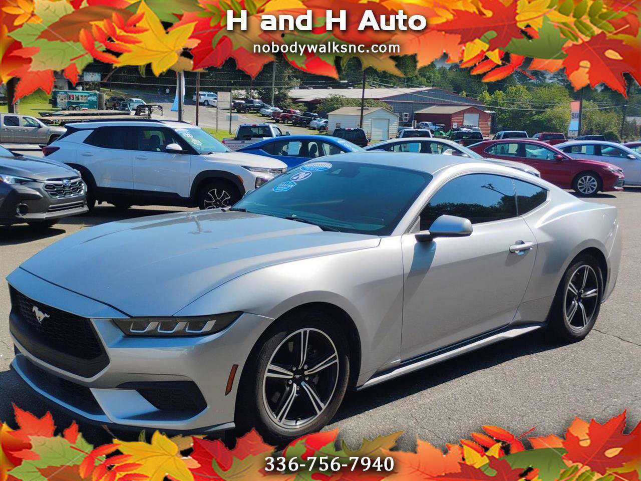 Used 2024 Ford Mustang Coupe RWD image 1
