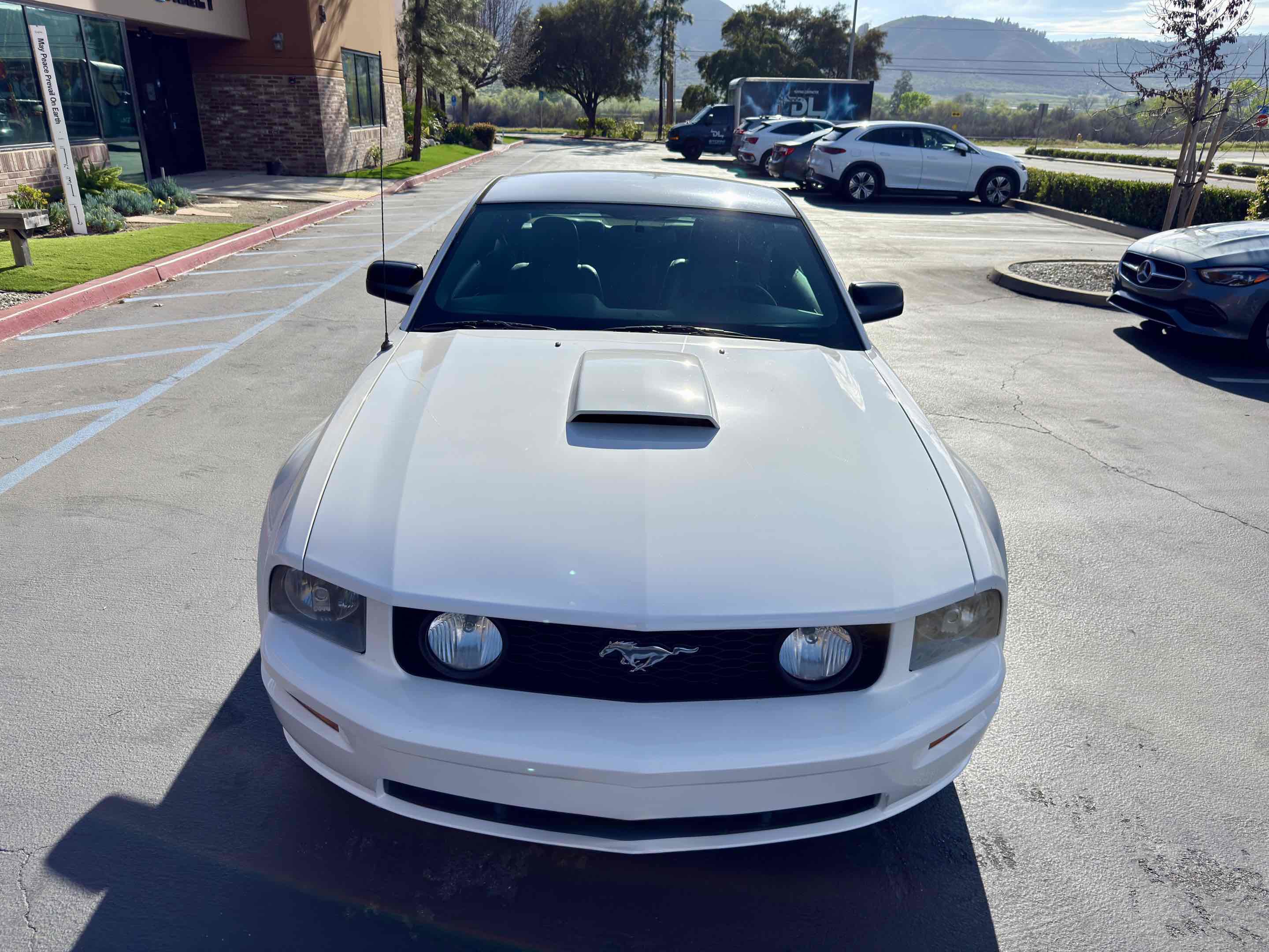 Used 2008 Ford Mustang GT Premium RWD image 6