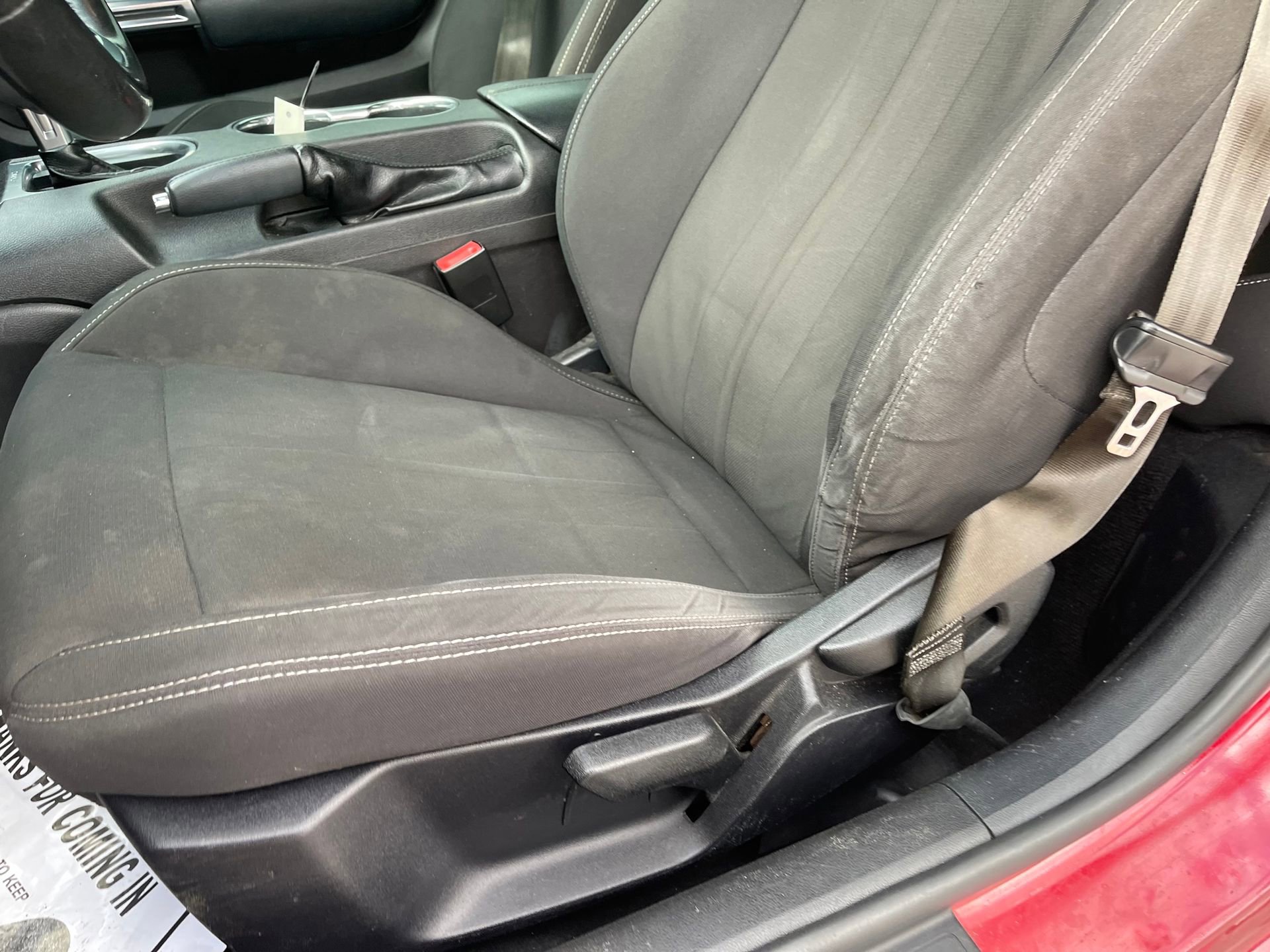 Used 2019 Ford Mustang EcoBoost w/ Black Accent Package image 14