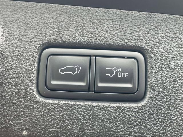 Used 2025 Kia Telluride SX Prestige X-Pro image 24