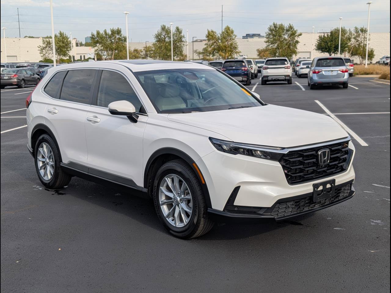 Certified 2025 Honda CR-V EX-L image 1