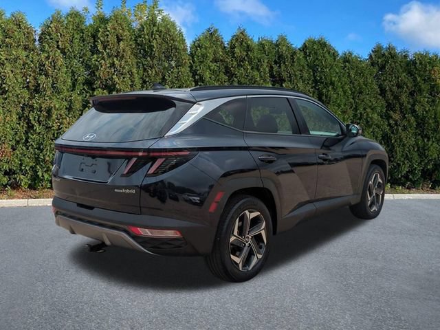Used 2024 Hyundai Tucson Limited AWD/4WD image 4