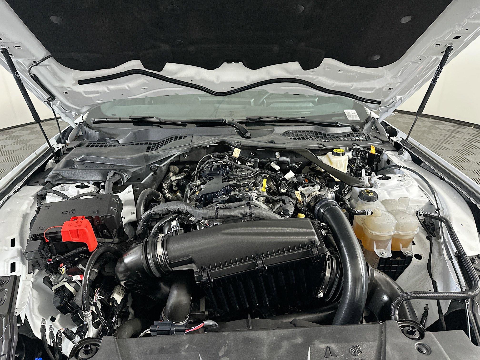 Used 2024 Ford Mustang Convertible w/ Mustang Nite Pony Package image 31