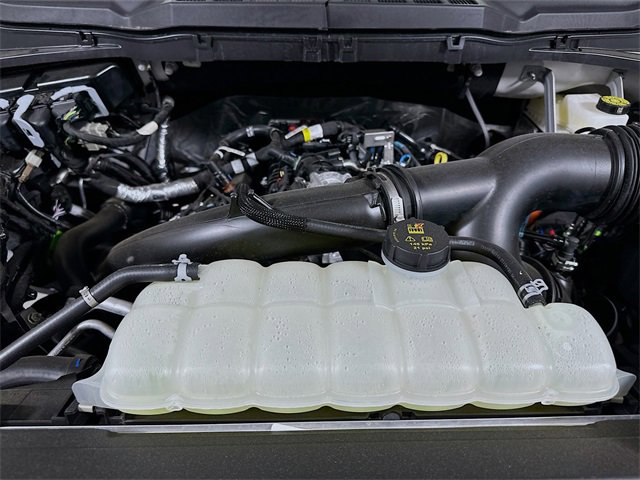 New 2025 Ford F150 XLT w/ Equipment Group 302A MID image 18