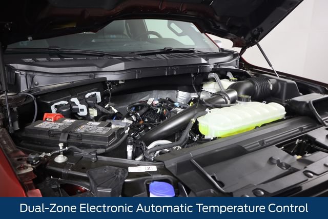 New 2026 Ford F150 XLT w/ Equipment Group 302A MID AWD/4WD image 19