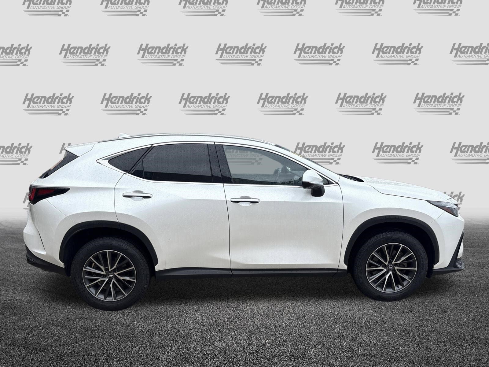 Certified 2024 Lexus NX 350 AWD image 5