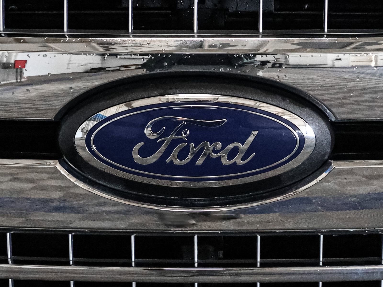 Used 2019 Ford F150 XLT w/ Equipment Group 302A Luxury AWD/4WD image 13