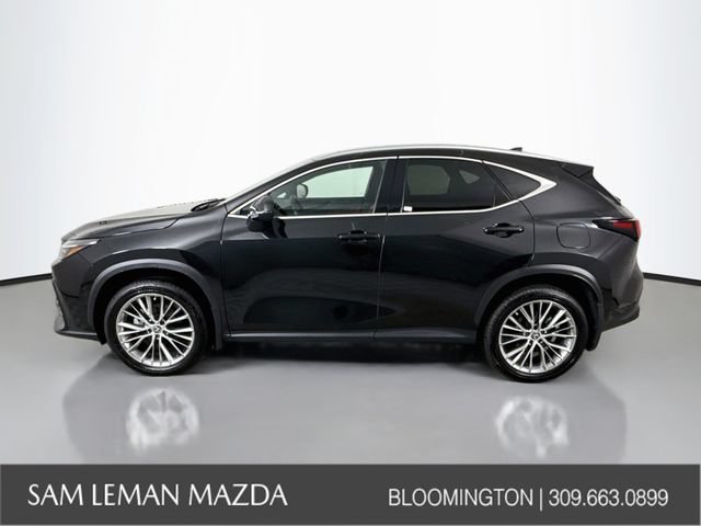 Used 2025 Lexus NX 350 AWD w/ Premium Package image 4