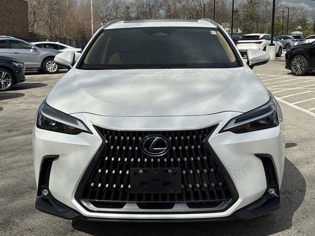 Certified 2024 Lexus NX 350 AWD w/ Cold Area Package image 2