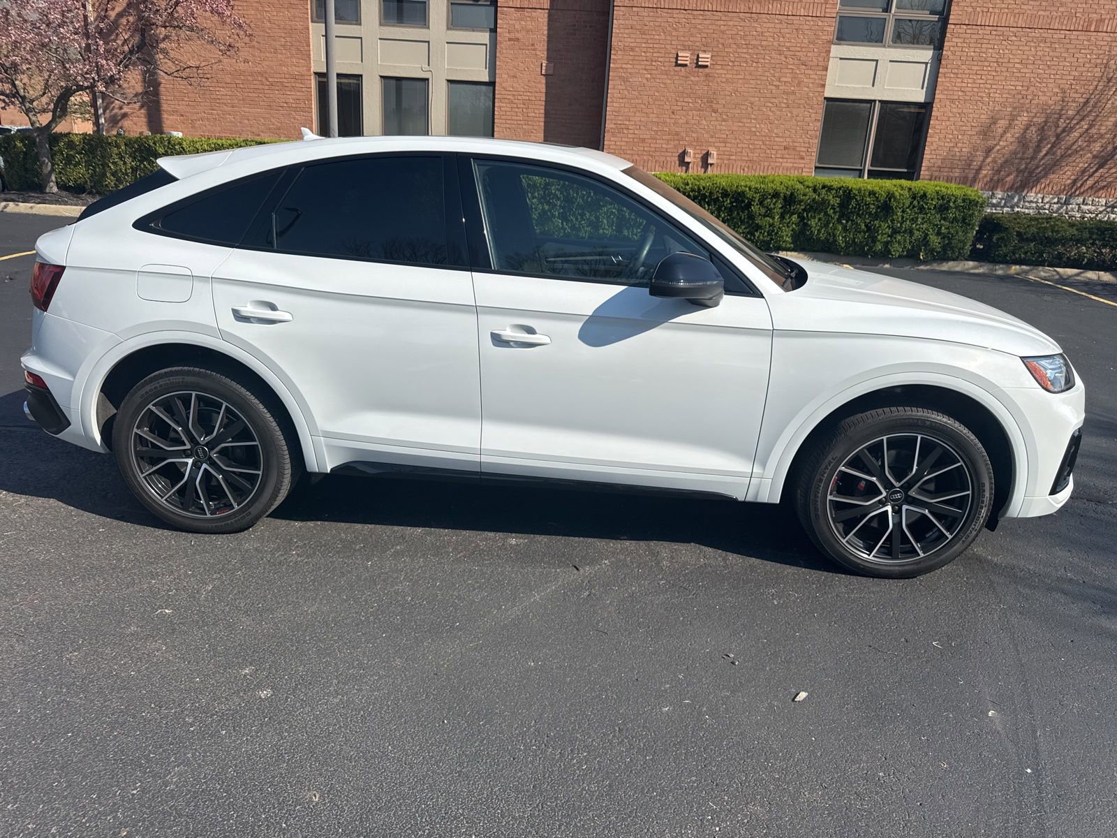 Used 2023 Audi SQ5 Premium Plus w/ Premium Plus Package image 4