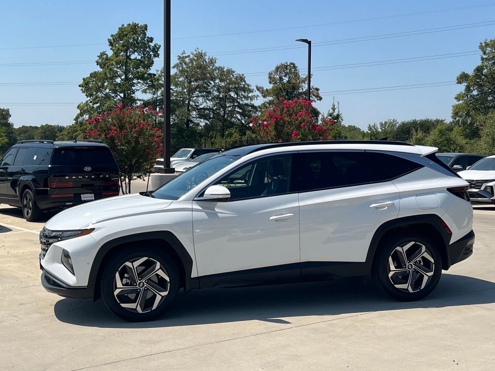 Certified 2024 Hyundai Tucson Limited FWD image 6