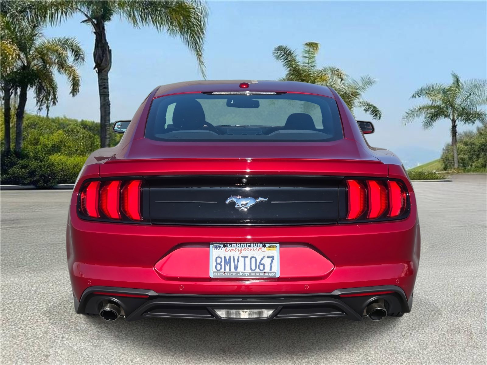 Used 2019 Ford Mustang EcoBoost Fastback RWD w/ Equipment Group 101A image 5