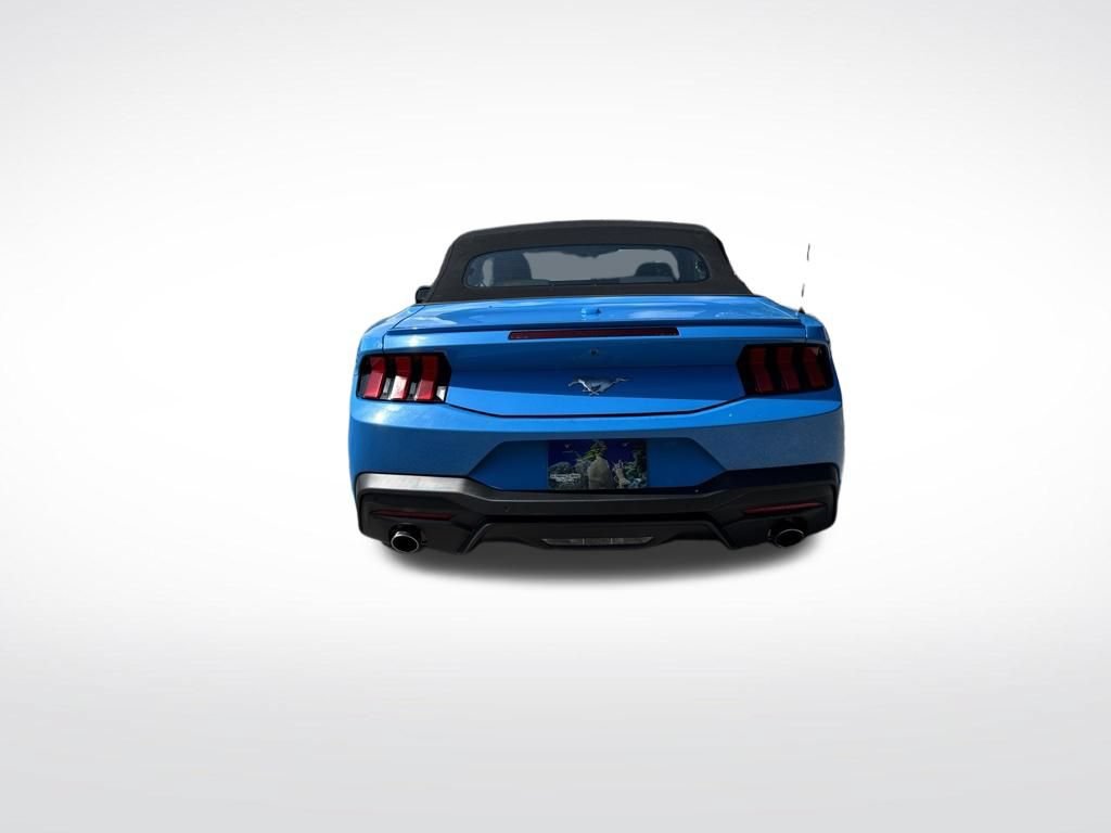 Used 2024 Ford Mustang Premium RWD image 7