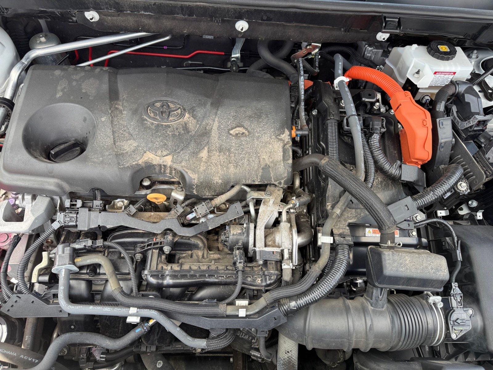 Used 2019 Toyota RAV4 XSE AWD/4WD image 21