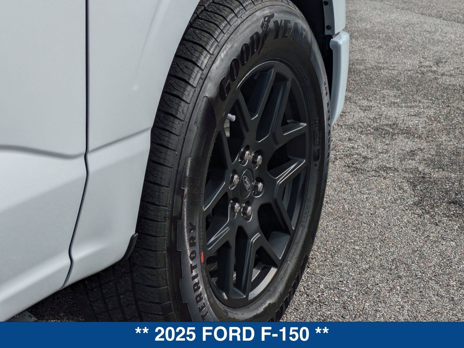 New 2025 Ford F150 STX w/ STX Black Appearance Package image 13
