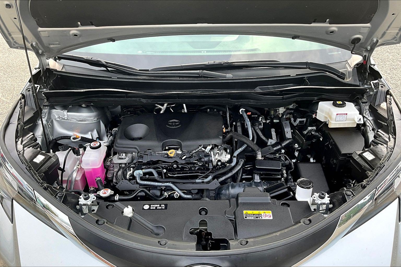 Used 2025 Toyota Sienna XLE FWD image 9