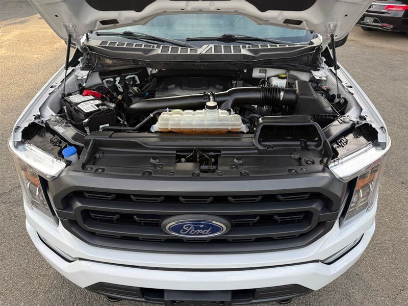 Used 2023 Ford F150 XLT w/ Equipment Group 302A High AWD/4WD image 19