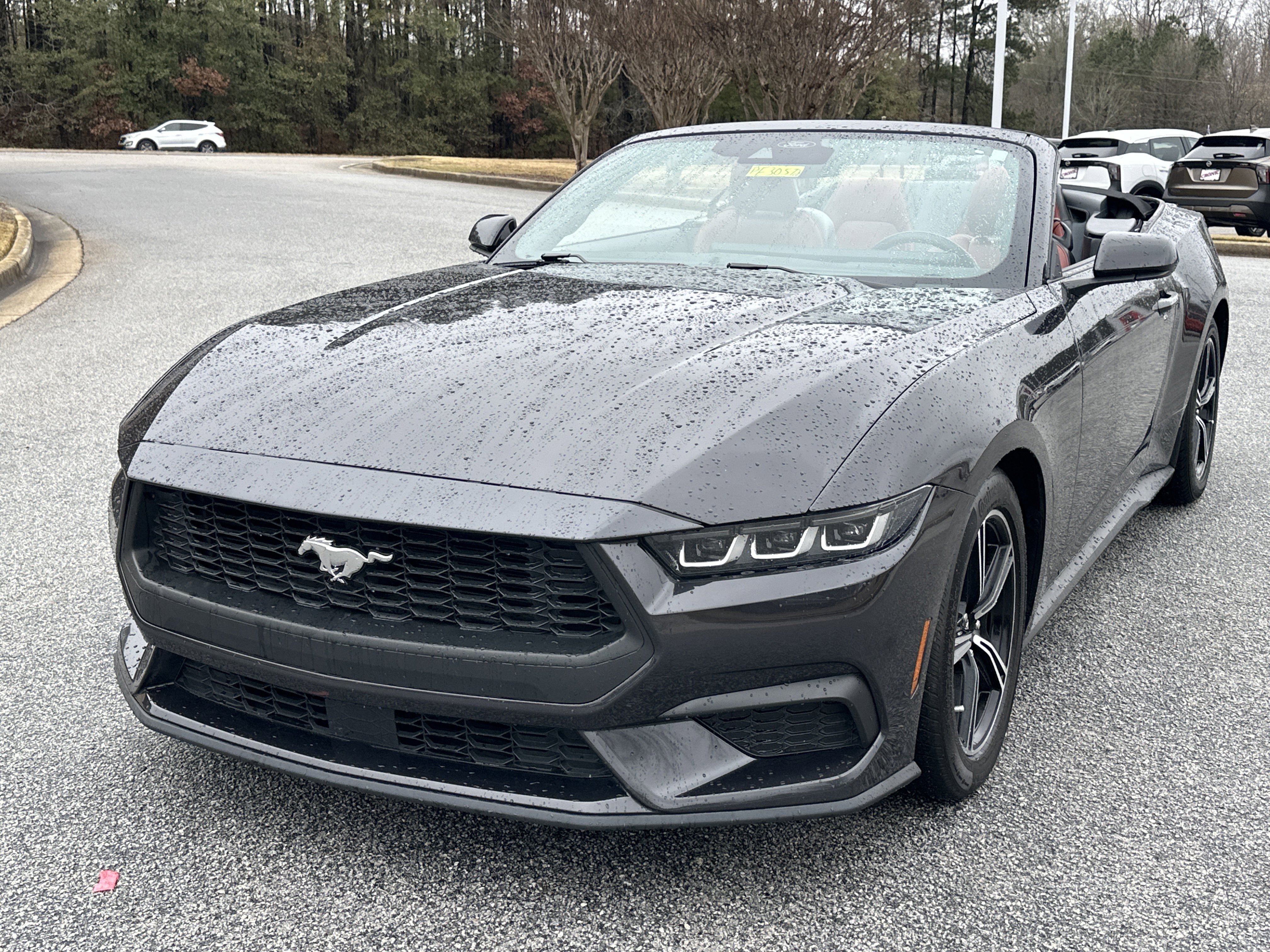 Used 2024 Ford Mustang Premium