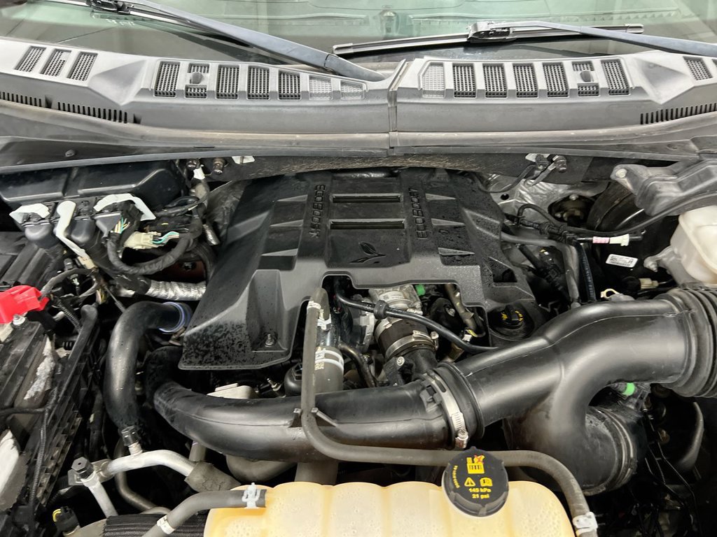 Used 2018 Ford F150 XLT w/ Equipment Group 301A Mid AWD/4WD image 24