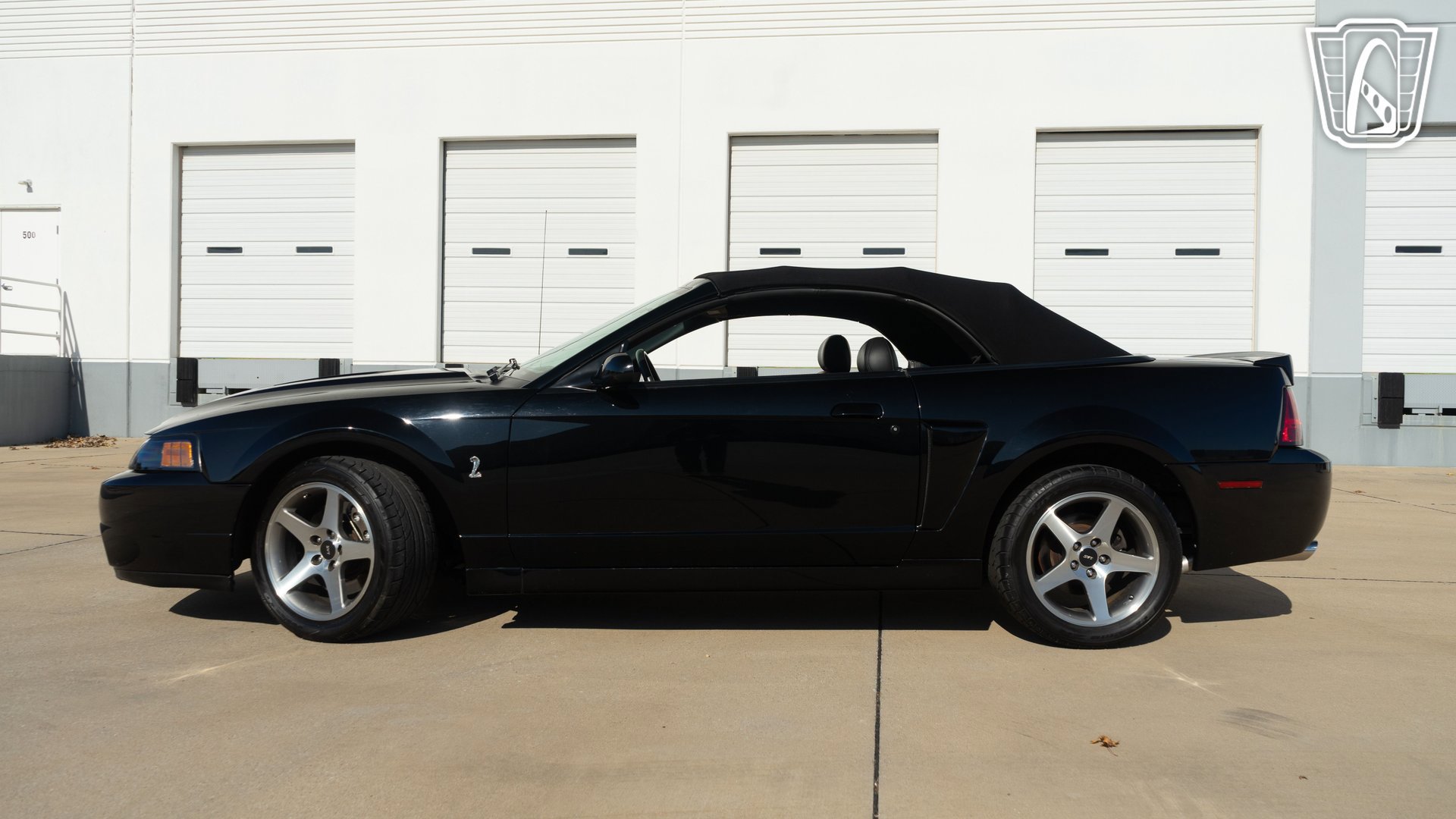 Used 2003 Ford Mustang Cobra image 6