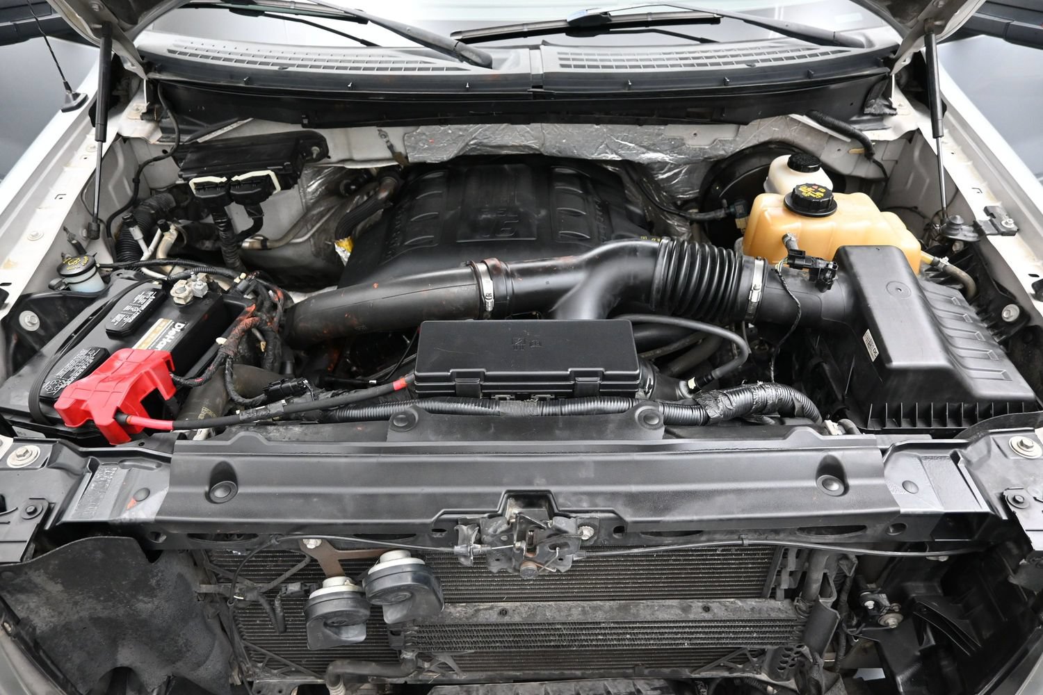 Used 2013 Ford F150 XLT w/ XLT Chrome Pkg RWD image 8