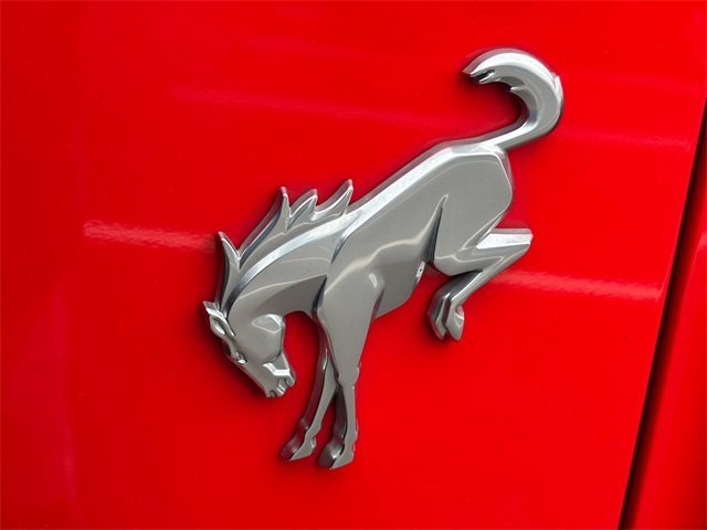 Used 2023 Ford Bronco Black Diamond image 11