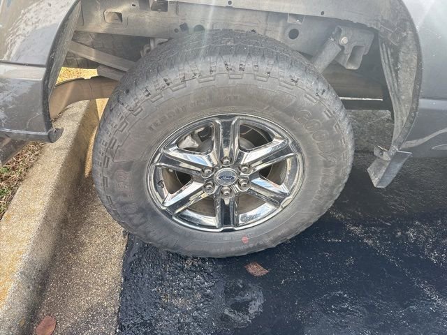 Used 2025 Ford F150 XLT w/ Equipment Group 301A Standard image 40