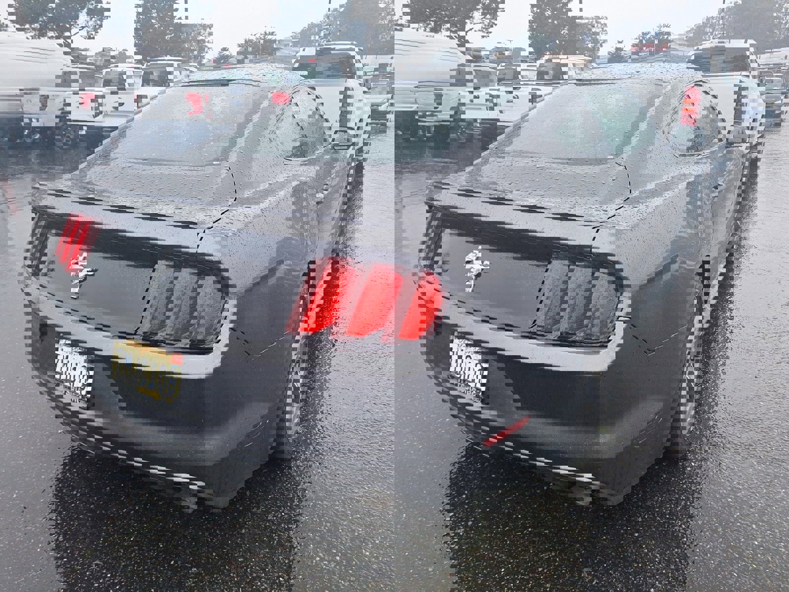 Used 2015 Ford Mustang Coupe w/ Equipment Group 051A image 4