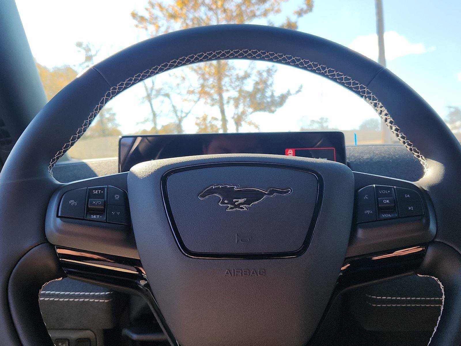 New 2025 Ford Mustang Mach-E GT w/ Interior Protection Package image 9