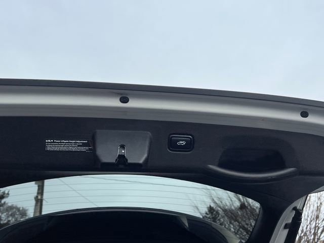 Used 2023 Kia Sportage X-Pro image 15