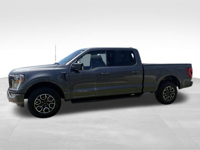 Used 2023 Ford F150 XLT w/ Equipment Group 302A High AWD/4WD image 12