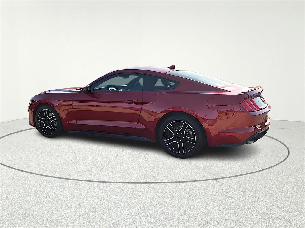 Used 2023 Ford Mustang Premium w/ Equipment Group 201A image 4