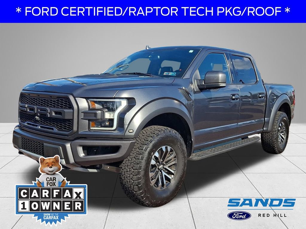 Used 2019 Ford F150 Raptor w/ Equipment Group 802A Luxury image 1