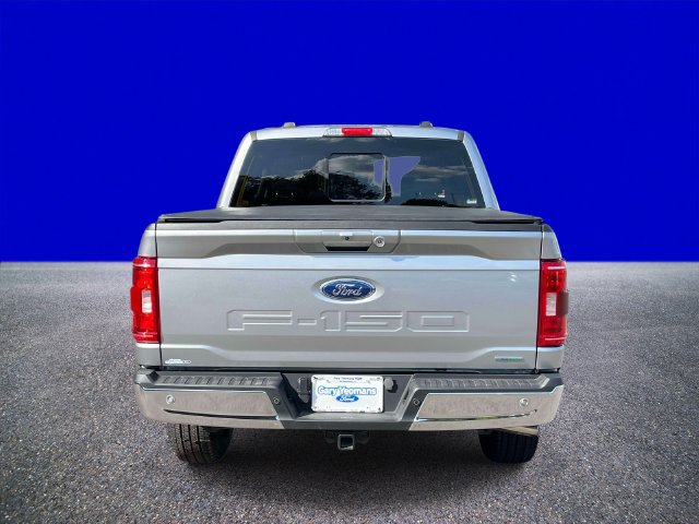 Used 2023 Ford F150 XLT w/ Equipment Group 302A High AWD/4WD image 4