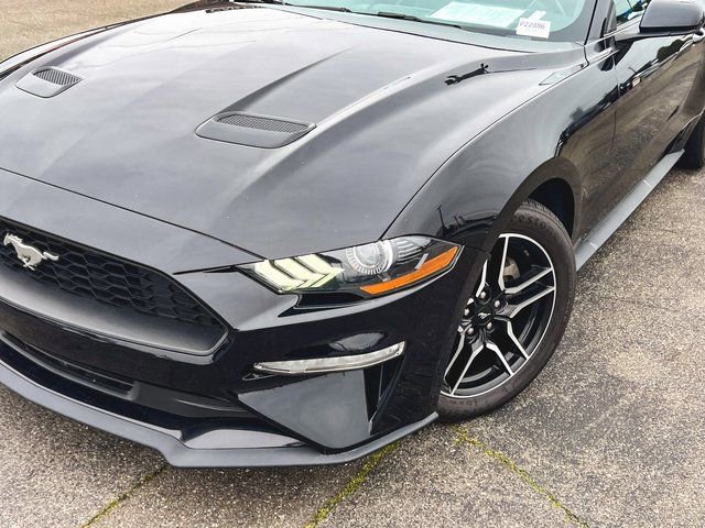 Used 2022 Ford Mustang Premium image 2