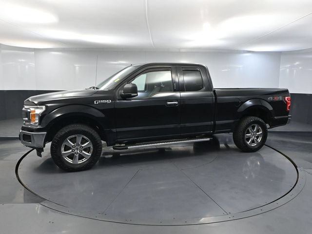Used 2019 Ford F150 XLT w/ Equipment Group 302A Luxury AWD/4WD image 7