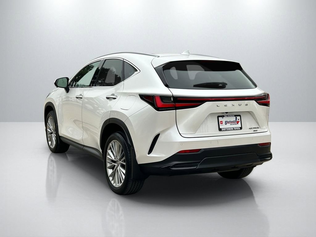 Used 2024 Lexus NX 350h AWD w/ Vision Package image 7