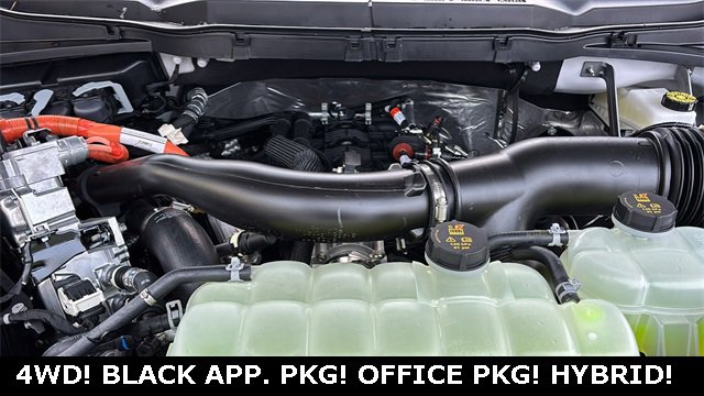 New 2025 Ford F150 XLT w/ Equipment Group 302A MID image 32