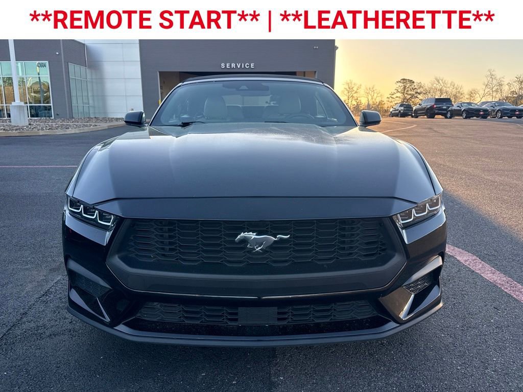 Used 2024 Ford Mustang Premium image 2