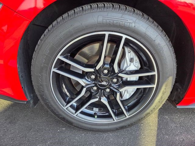 Used 2019 Ford Mustang GT RWD image 5