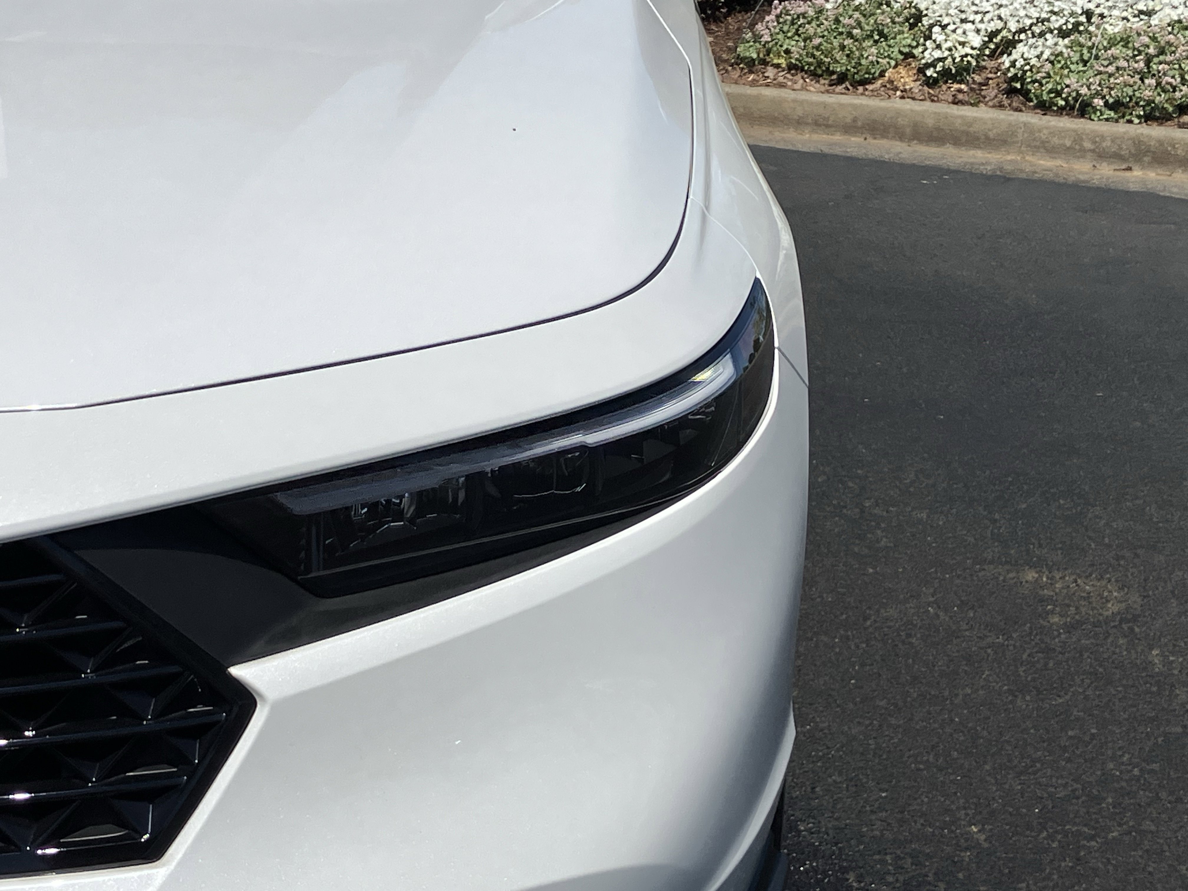 Used 2025 Honda Accord SE image 5