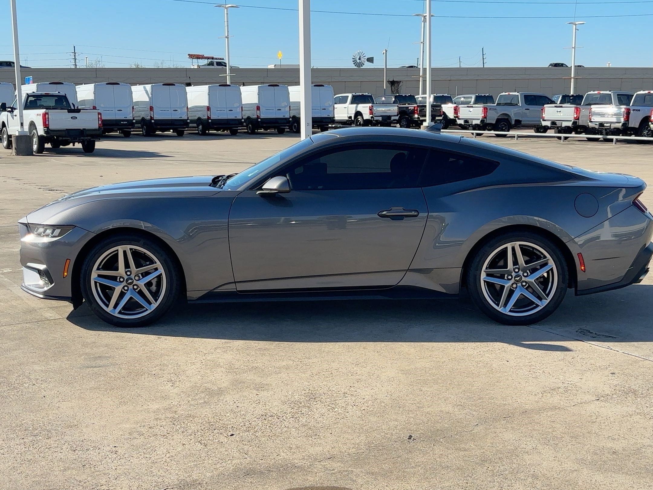 Used 2024 Ford Mustang EcoBoost image 7