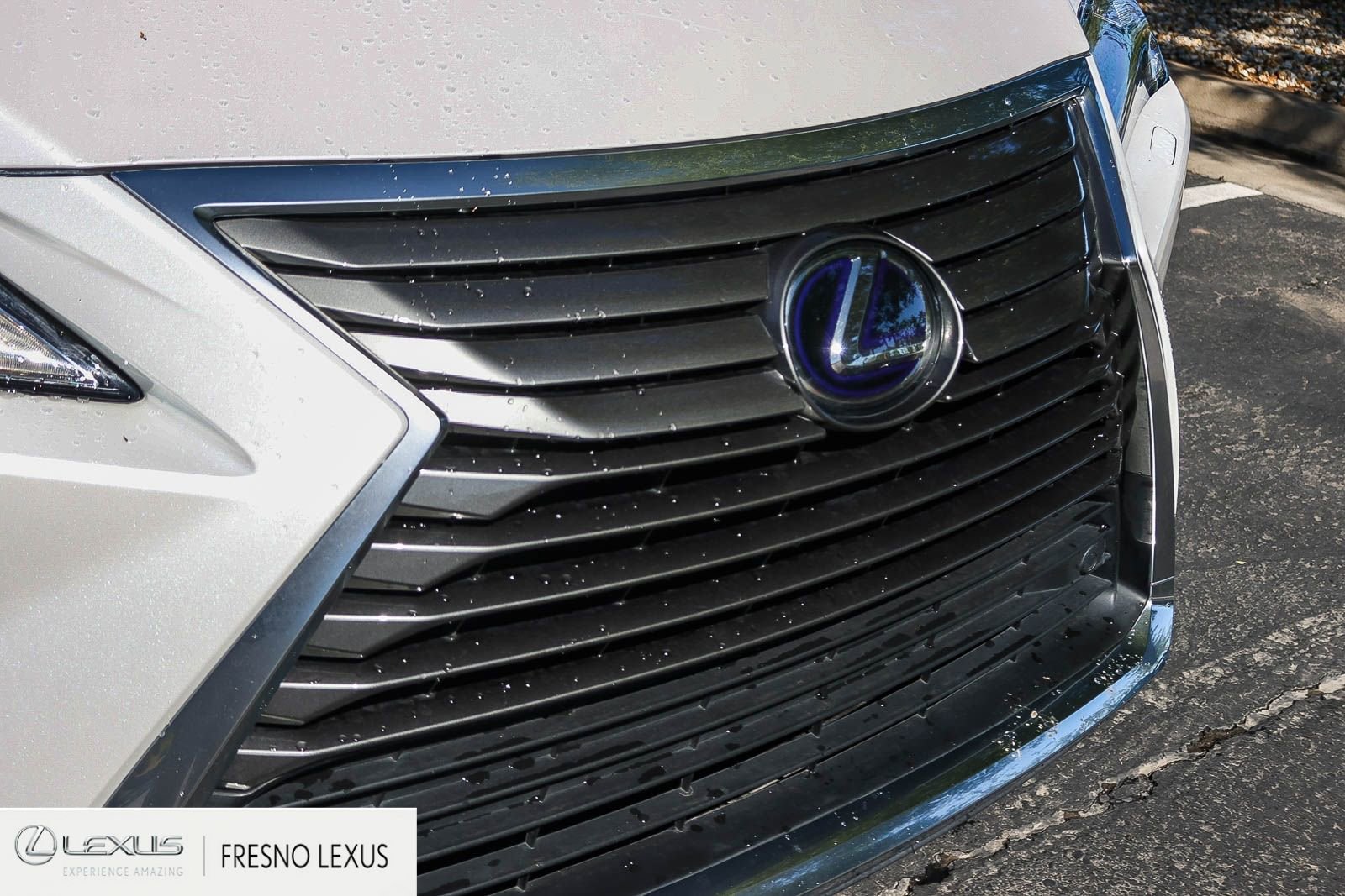 Used 2019 Lexus RX 450h AWD w/ Cold Area Package image 11