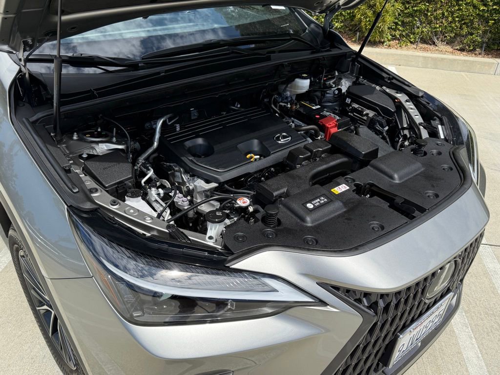 Certified 2024 Lexus NX 250 FWD image 5