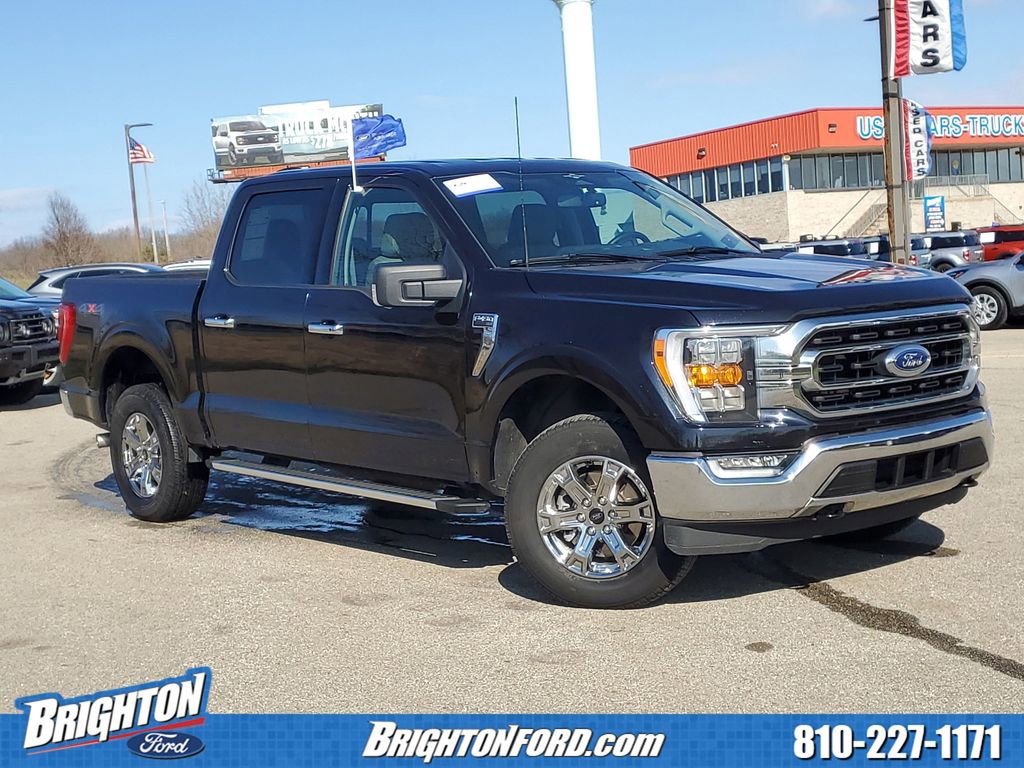 Certified 2023 Ford F150 XLT w/ Equipment Group 302A High image 1