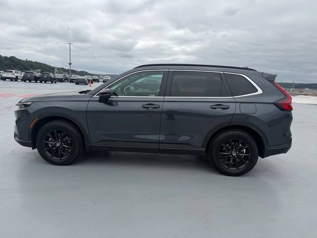 Certified 2024 Honda CR-V Sport-L image 10