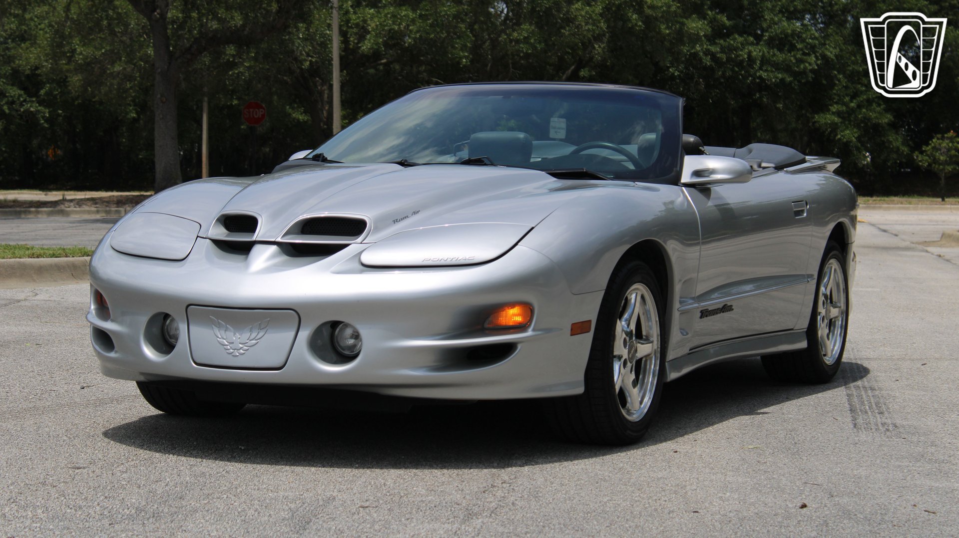 Used 1999 Pontiac Firebird Trans Am RWD image 3