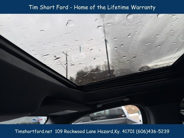 New 2026 Ford Expedition Max Platinum image 22