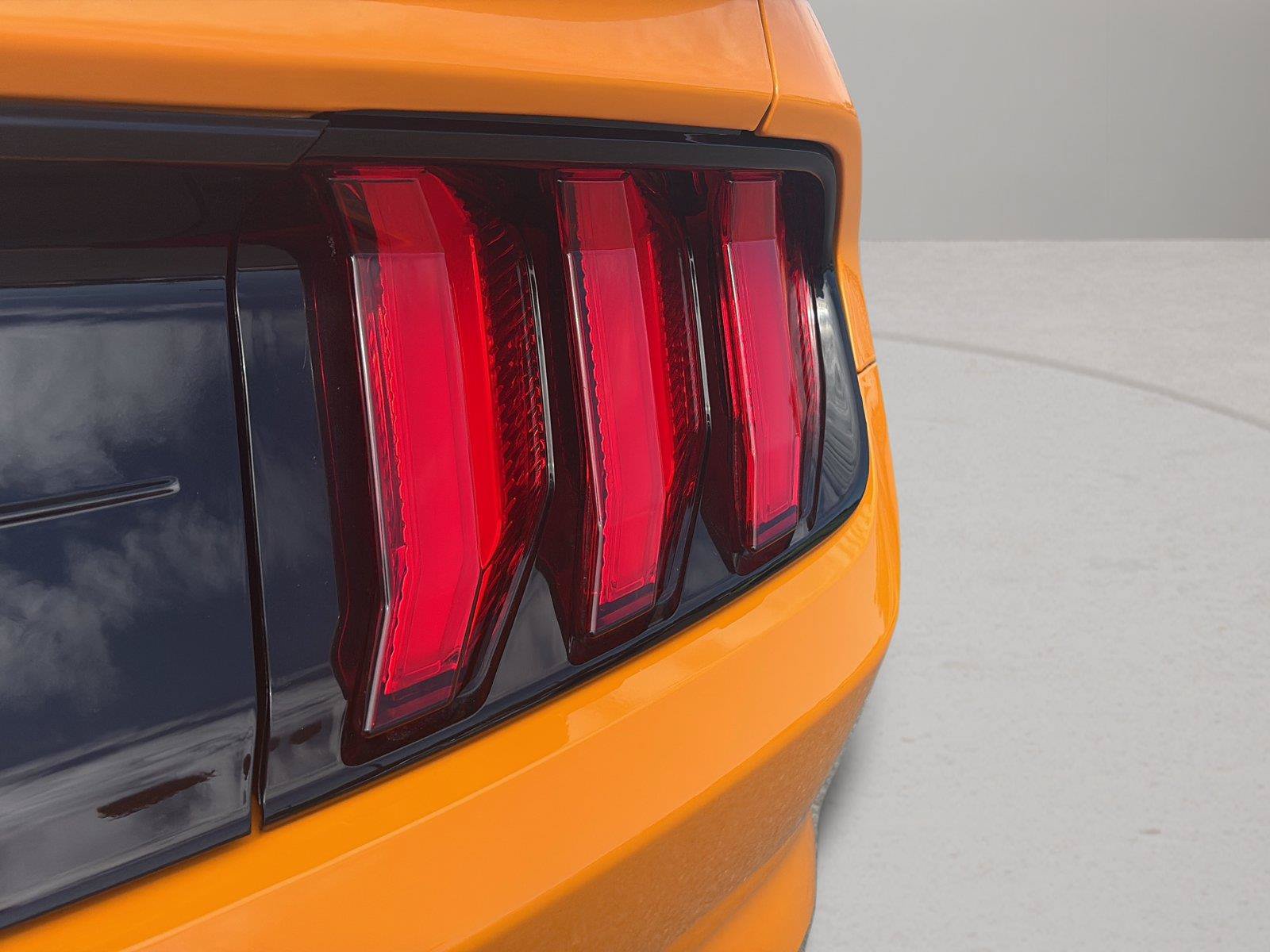 Used 2019 Ford Mustang GT RWD image 40